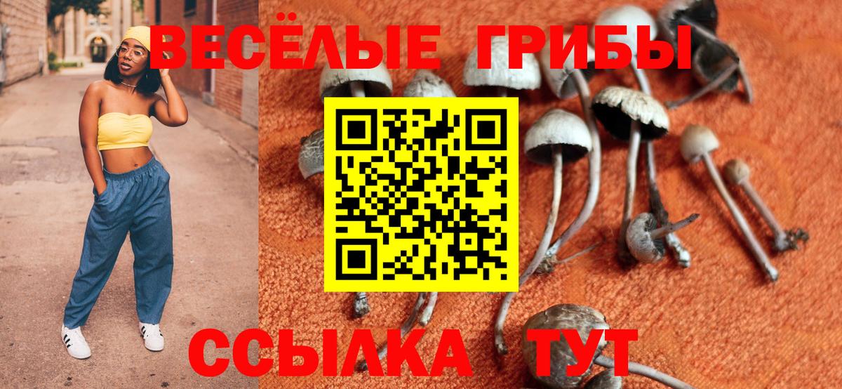 Псилоцибиновые грибы GOLDEN TEACHER  Псилоцибиновые грибы мицелий  Вход с VPN  Нижний Тагил 